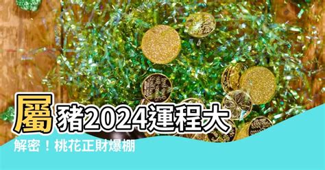 屬豬幸運物|2024屬豬幾歲、2024屬豬運勢、屬豬幸運色、財位、禁忌